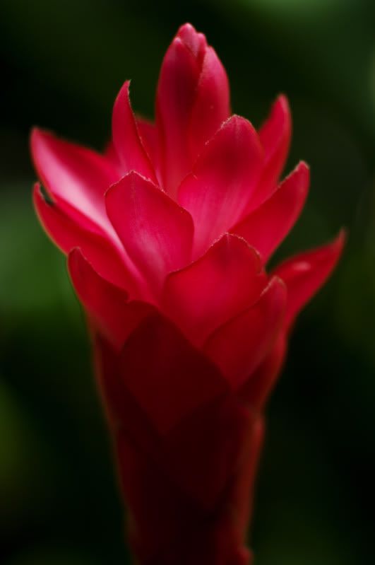 Voigtlander APO Lanthar SL 90mm F3.5 Lens Reviews Voigtlander APO Lanthar SL 90mm F3.5 Lens Reviews